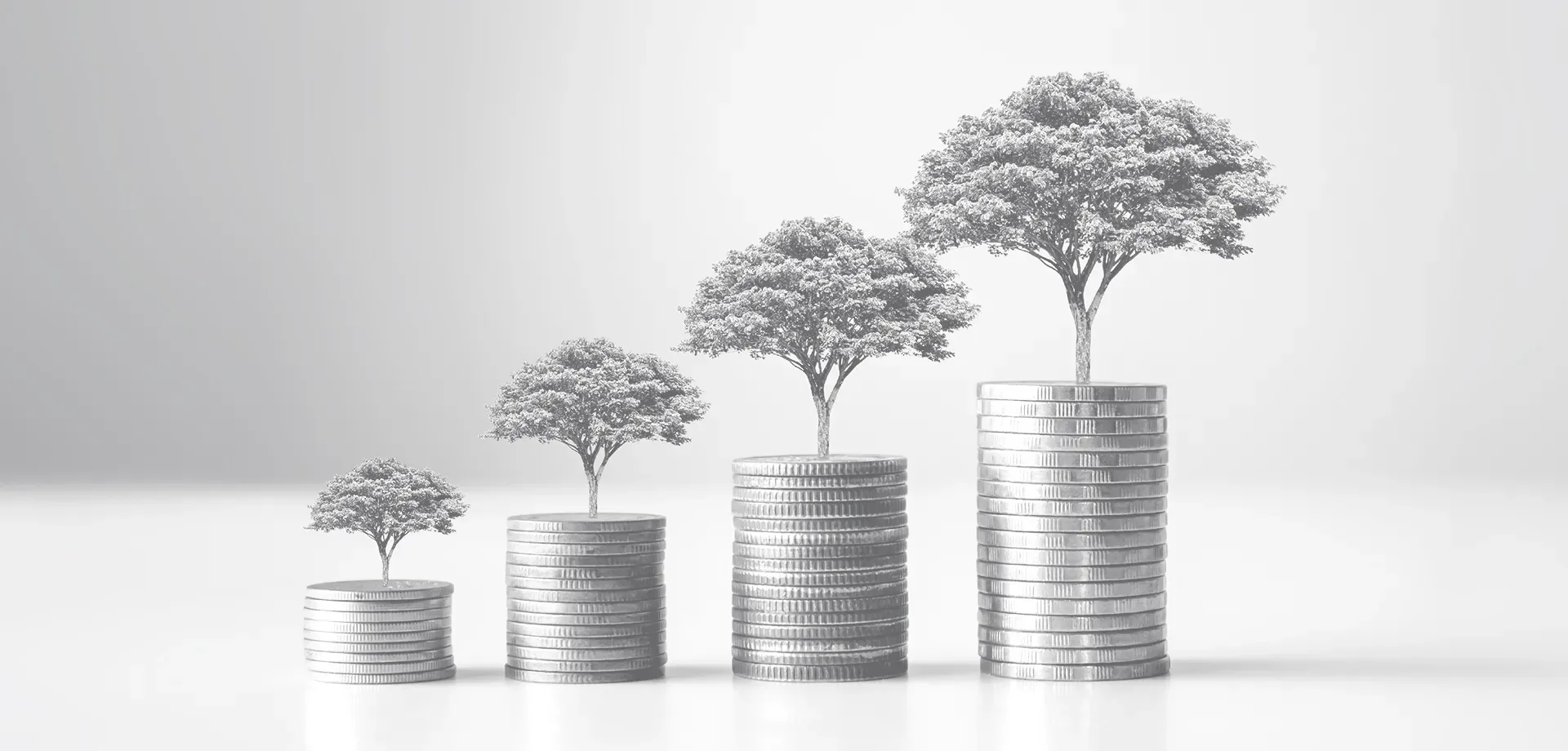 Sustainability Vs Profitability in Today's Business Landscape